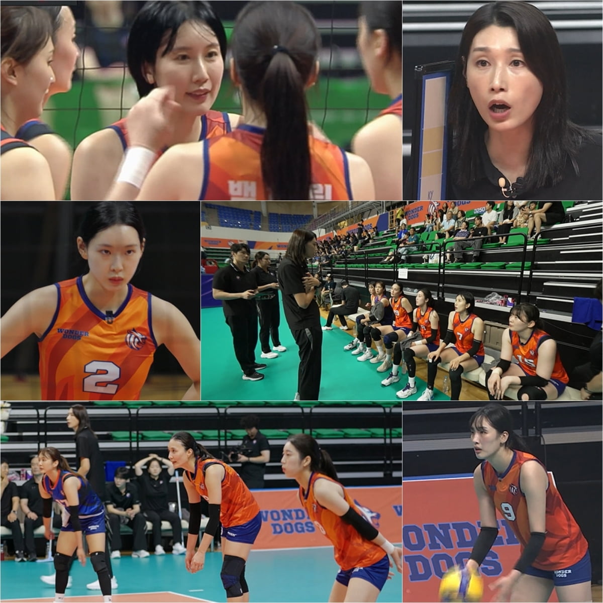 김연경, 제대로 사고쳤다…화제성 1위 쾌거, 과감히 띄운 승부수 ('신인감독')