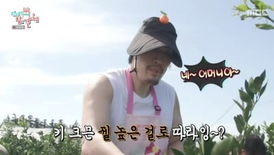 '44세' 최홍만, 인생 동반자와 제주도 농장서 노후 대비…"평생 함께 하고파" ('전참시')[종합]