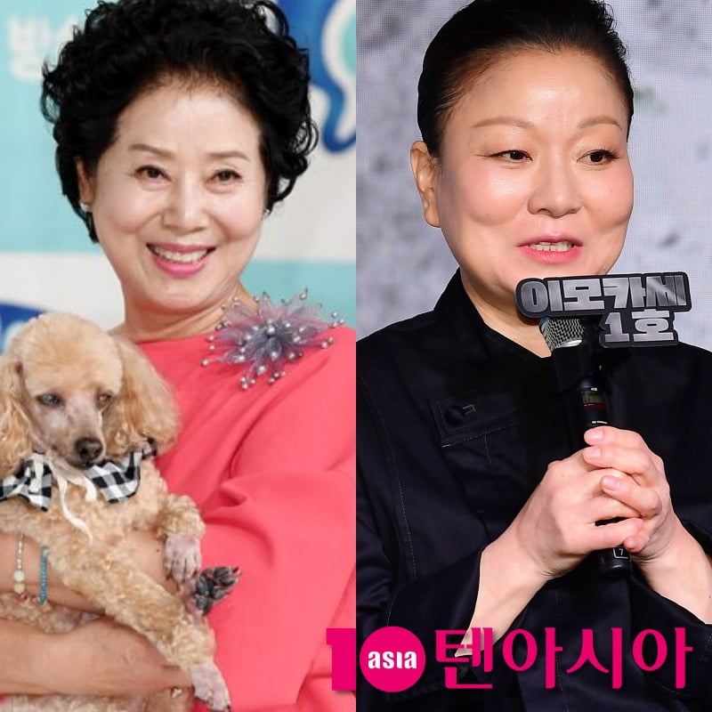 사진=텐아시아DB
