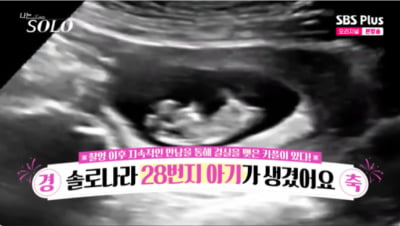 '나솔' 28기 돌싱, 방송 최초 혼전임신 커플 탄생했다…"아이로 결실 맺어" [종합]