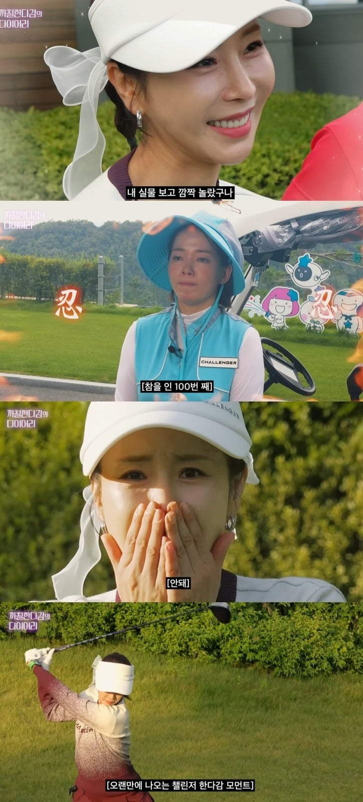 사진=유튜브 채널 '까칠한다감의 다이어리'