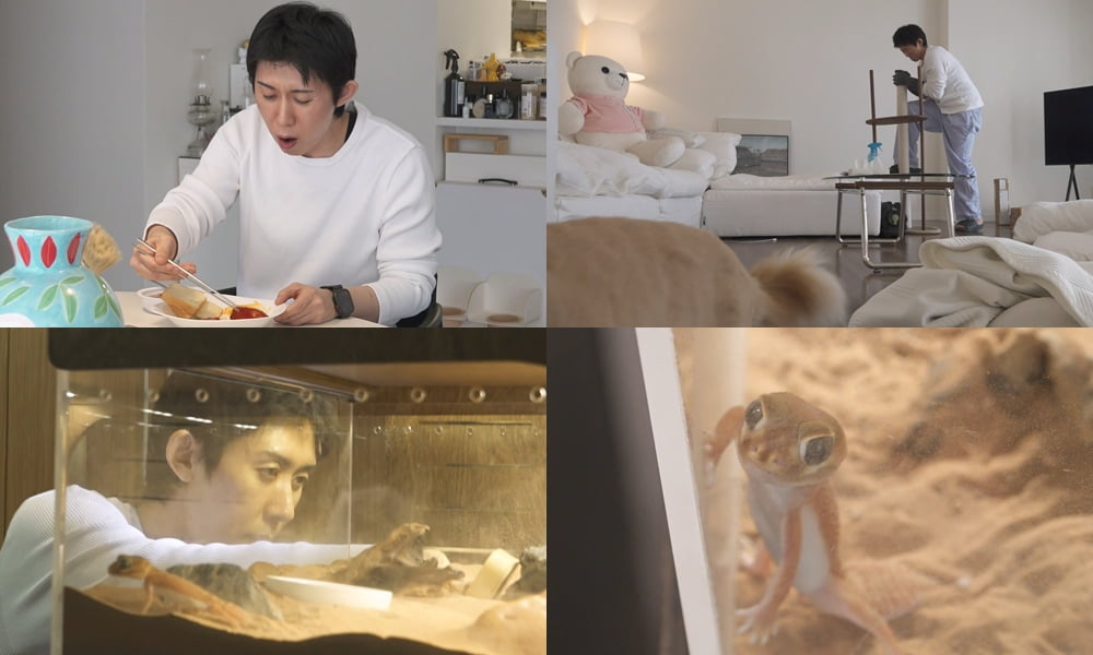 '혼자 사는' 코쿤, 새 식구 생겼다는 기쁜 소식 전했다…분주한 집안일로 새 식구 맞이('나혼산')
