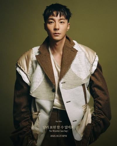 가을남자 로이킴, 달리 표현할 수 없어요