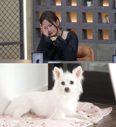 강형욱, 결국 멘탈 붕괴돼 혼잣말만 반복…"어떡하지, 힘들어" ('개늑시')