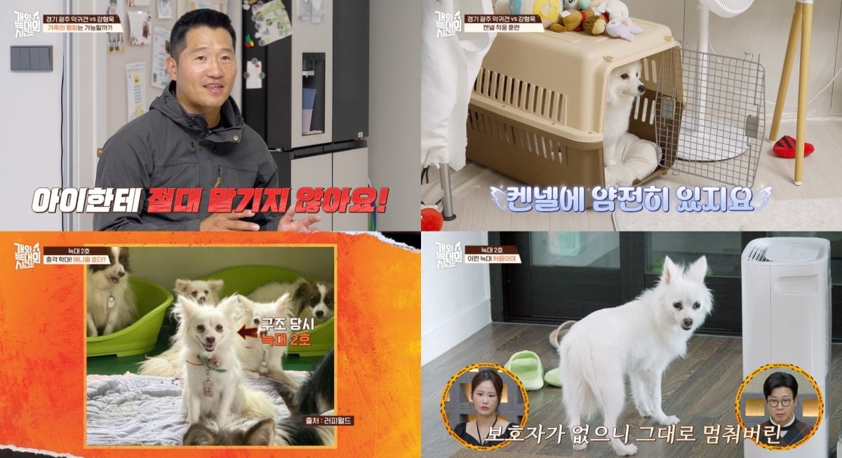 사진='개와 늑대의 시간' 캡처