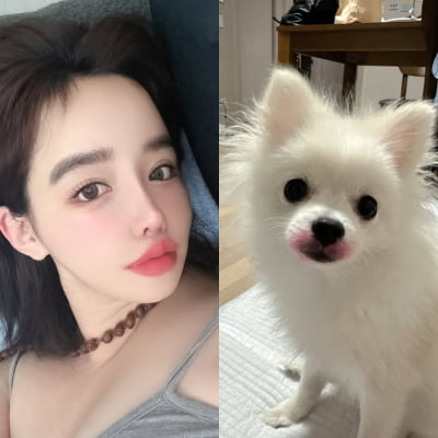 '양현석 고소장' 박봄 이상하다…개 입술 빨갛게 칠하고 "립스틱 감사"