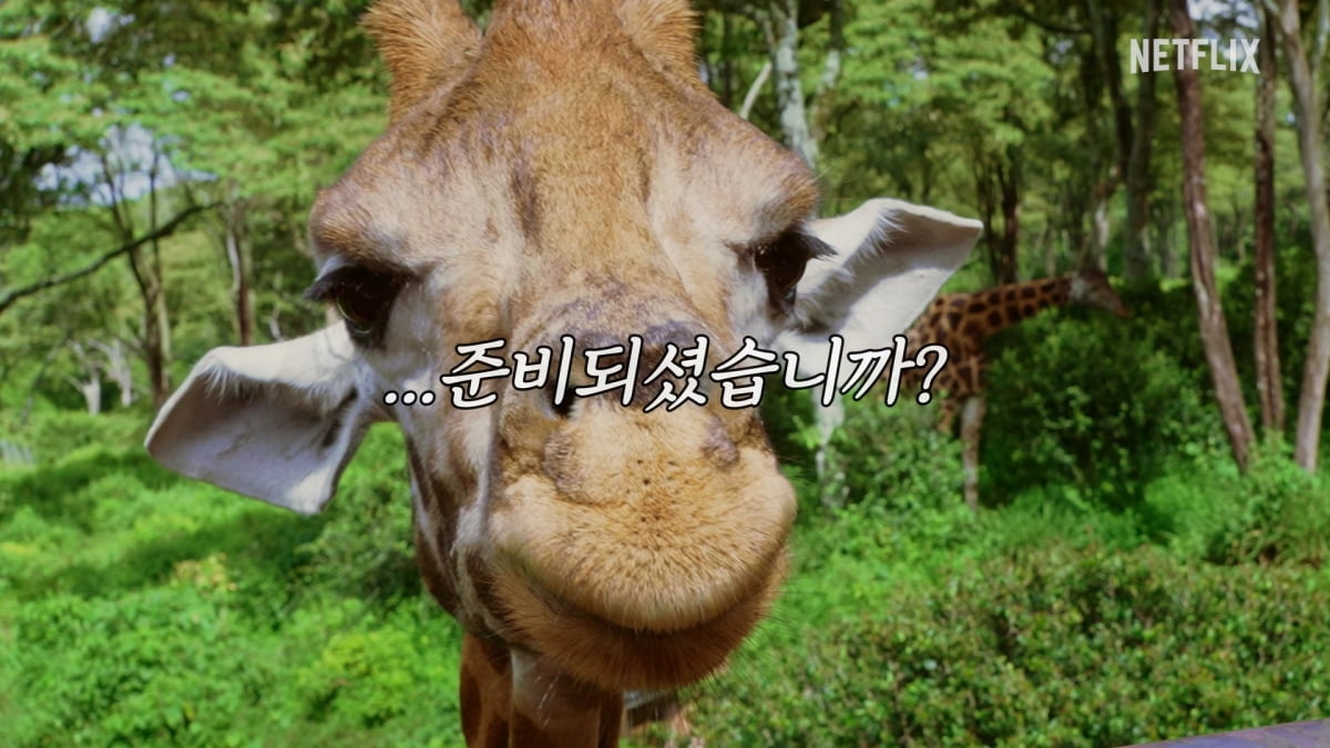 [공식] 나영석 PD, 마침내 기쁜 소식 전했다…'신서유기', 5년 만에 '케냐간세끼'로 컴백 