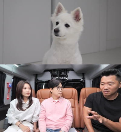 "안돼!" 김지민 절규→결국 분노…'묻지마 공격견' 아이 향해 돌진 ('개늑시')