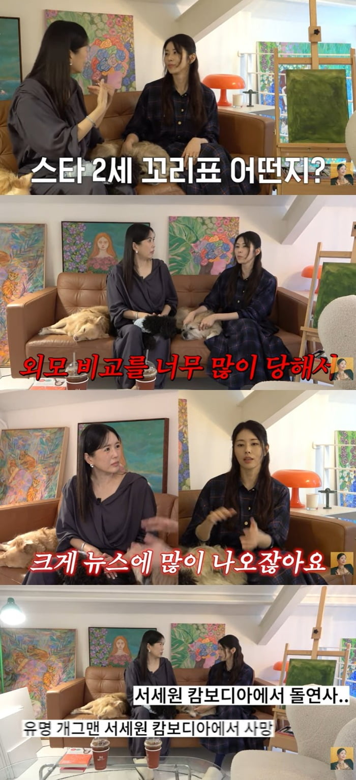 사진 = 유튜브 채널 'A급 장영란'