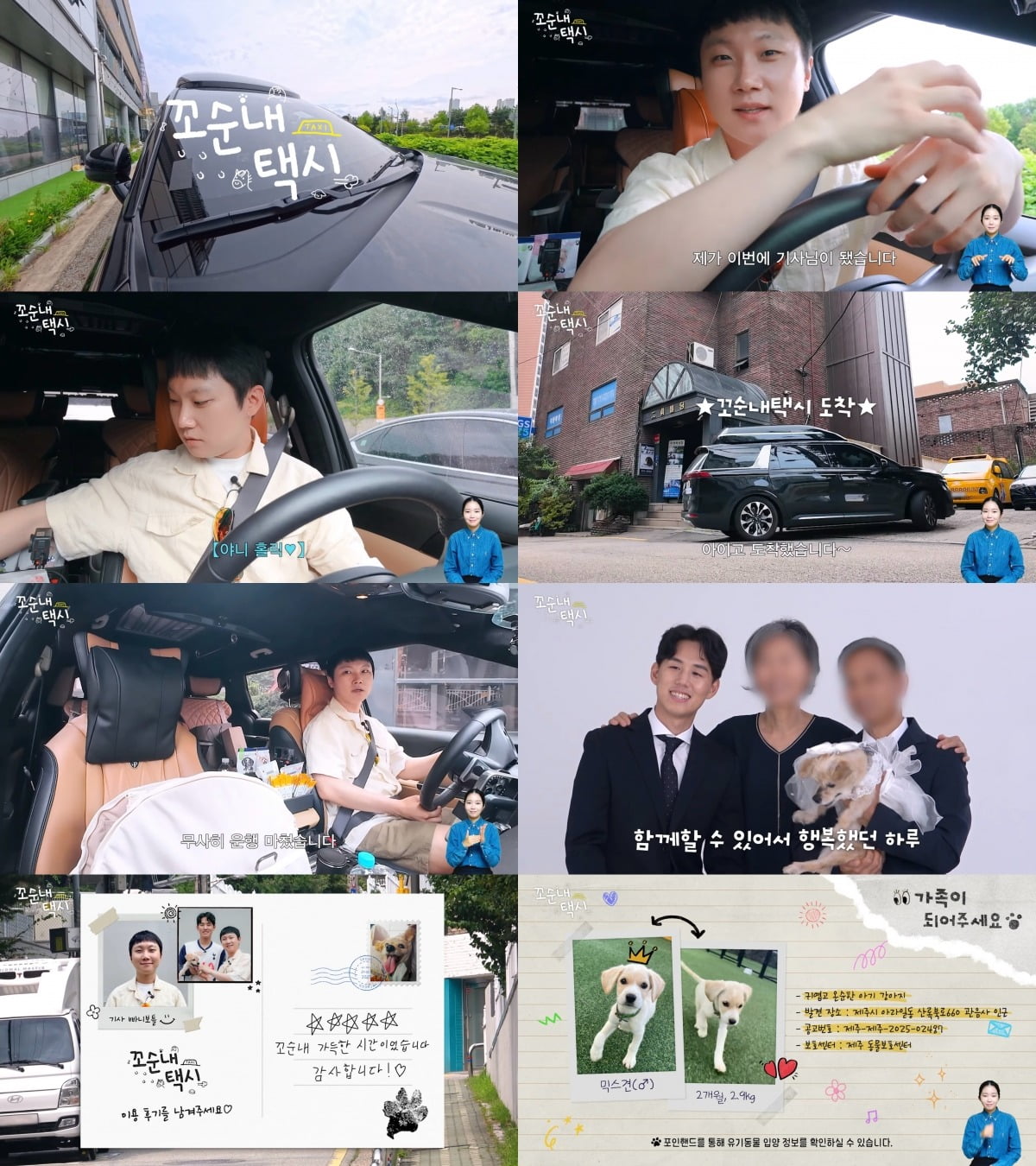 사진='꼬순내택시' 캡처