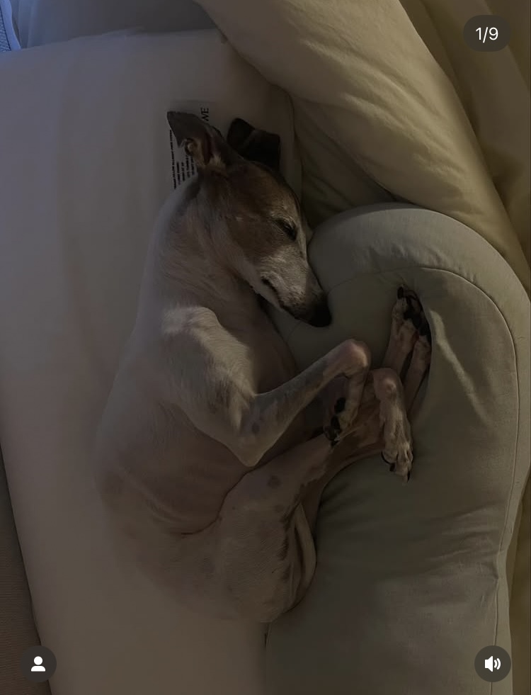 왼쪽 눈은 실명, 종양 떼어내는 수술까지…조권 “소장암 걸린 가가, 항암 치료“