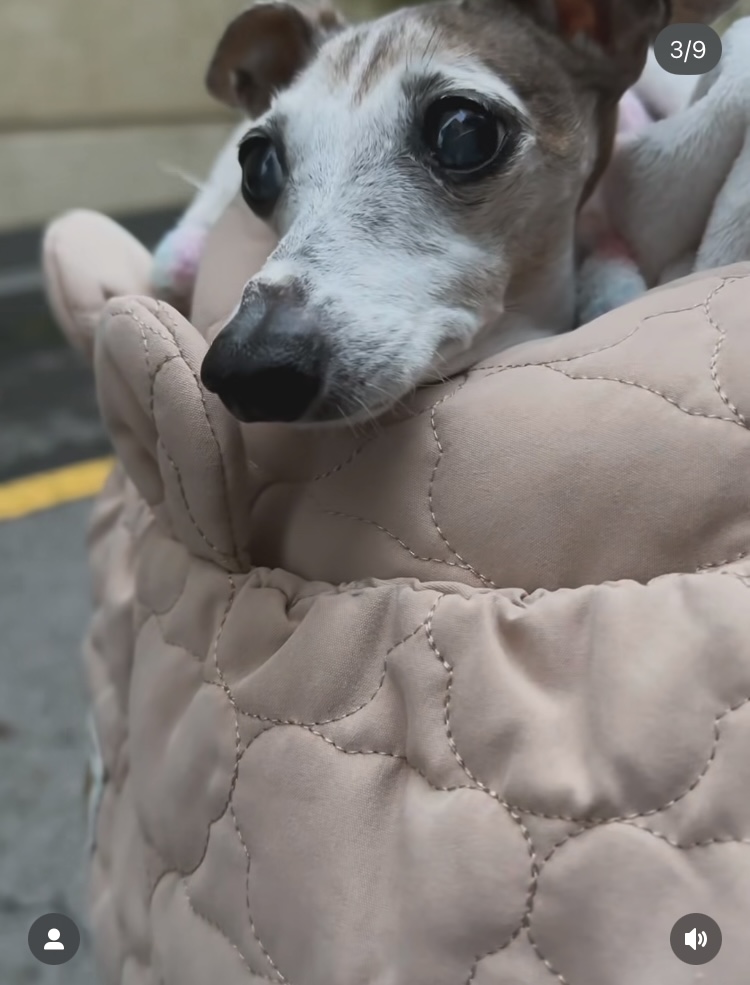 왼쪽 눈은 실명, 종양 떼어내는 수술까지…조권 “소장암 걸린 가가, 항암 치료“
