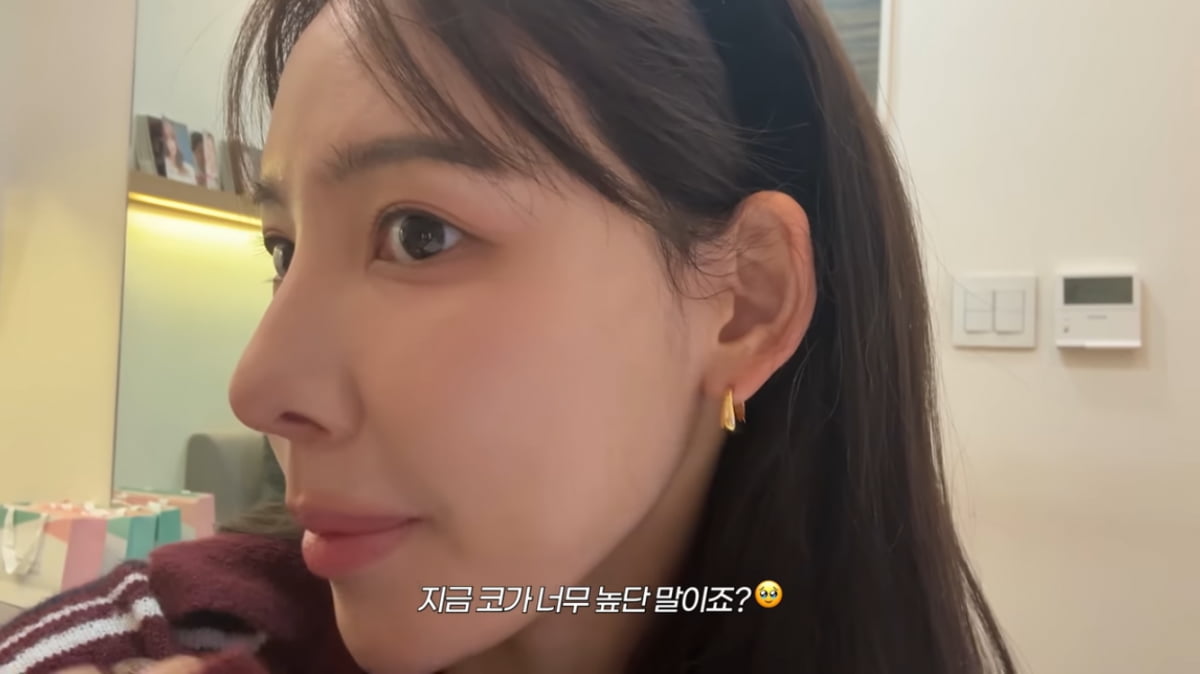 이나연 아나, 코 성형 또 할까…“옛날 얼굴 그리워” 복원 고민