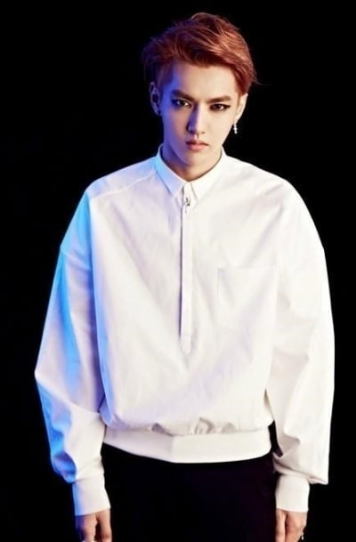 '미성년 성폭행' 엑소 출신 크리스, 사망설 또 확산