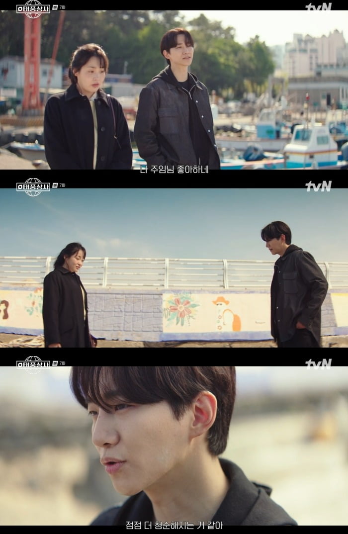 사진 = tvN '태풍상사'