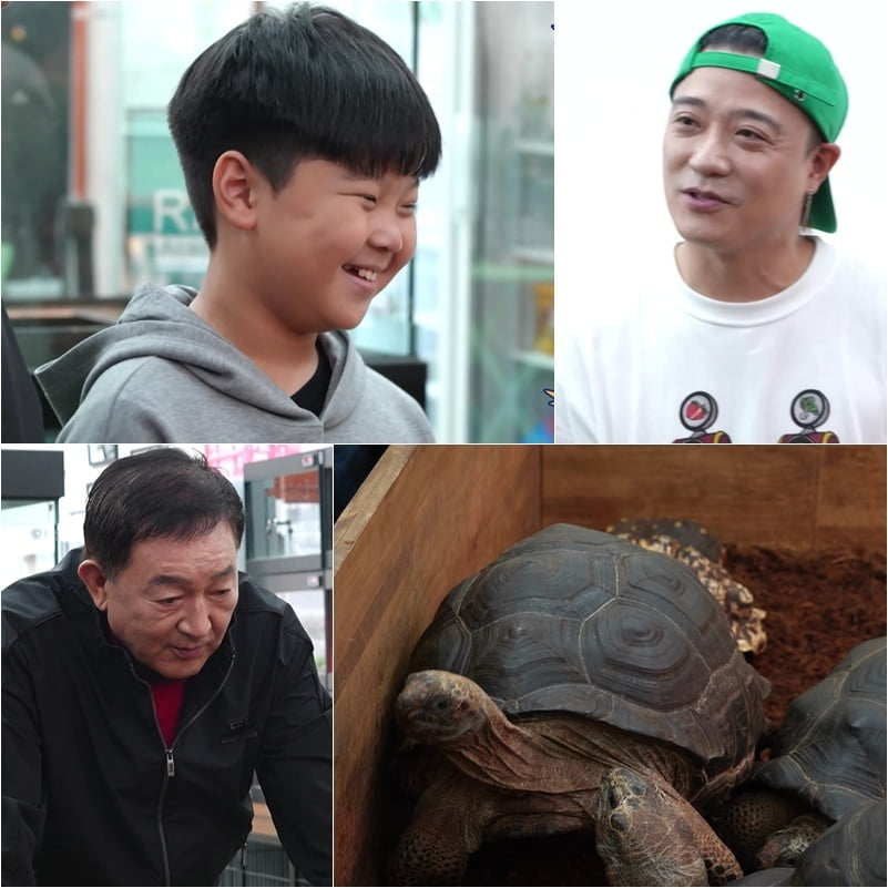 임채무는 190억 빚 갚고 있는데…무려 9억원 거북이 욕심, 11살 손자 "사주세요" ('사당귀')