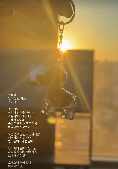 사진=이솔이 SNS