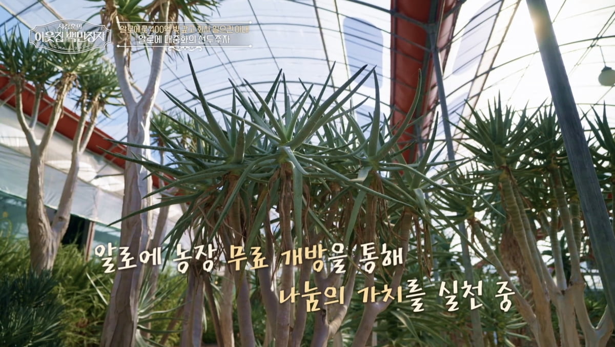 대리점 점주→회장 사모님 됐는데, 400억 빚 떠안았다…'연매출 1천억' 회생('백만장자') [종합]