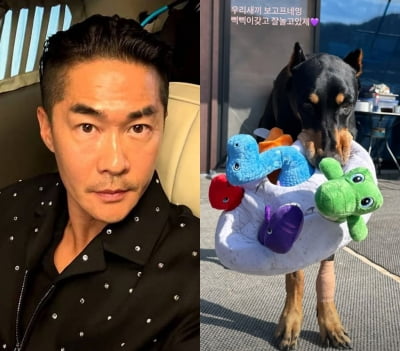 배정남, 떠난 반려견 향해 "잘 놀고 있지?"…배우 안보현에게 감사 인사