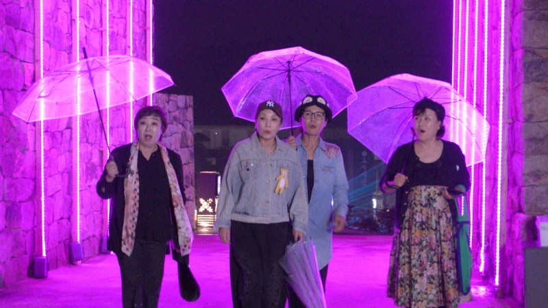 황석정, 갑자기 사라졌다…1000평 농장 3년 적자라더니 "혼자만의 시간 절실"('같이삽시다')