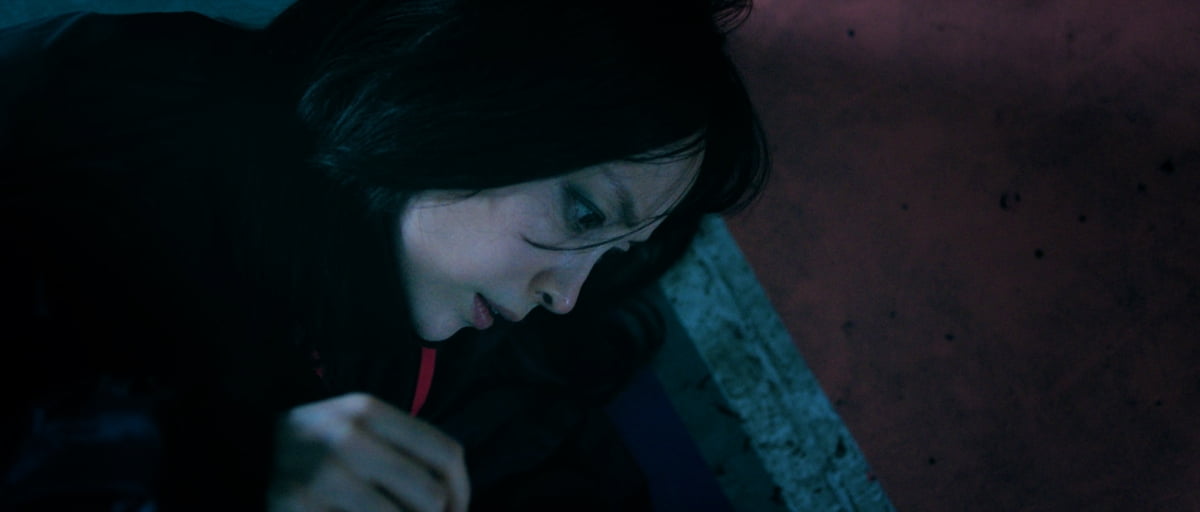 [공식] ♥원빈은 15년째 두문불출인데…이나영, 작품 안 가린다 "고민 없이 출연"