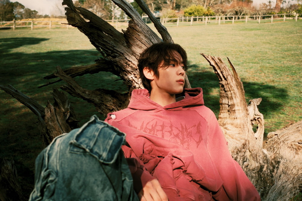 / 사진=앤드벗 컴퍼니