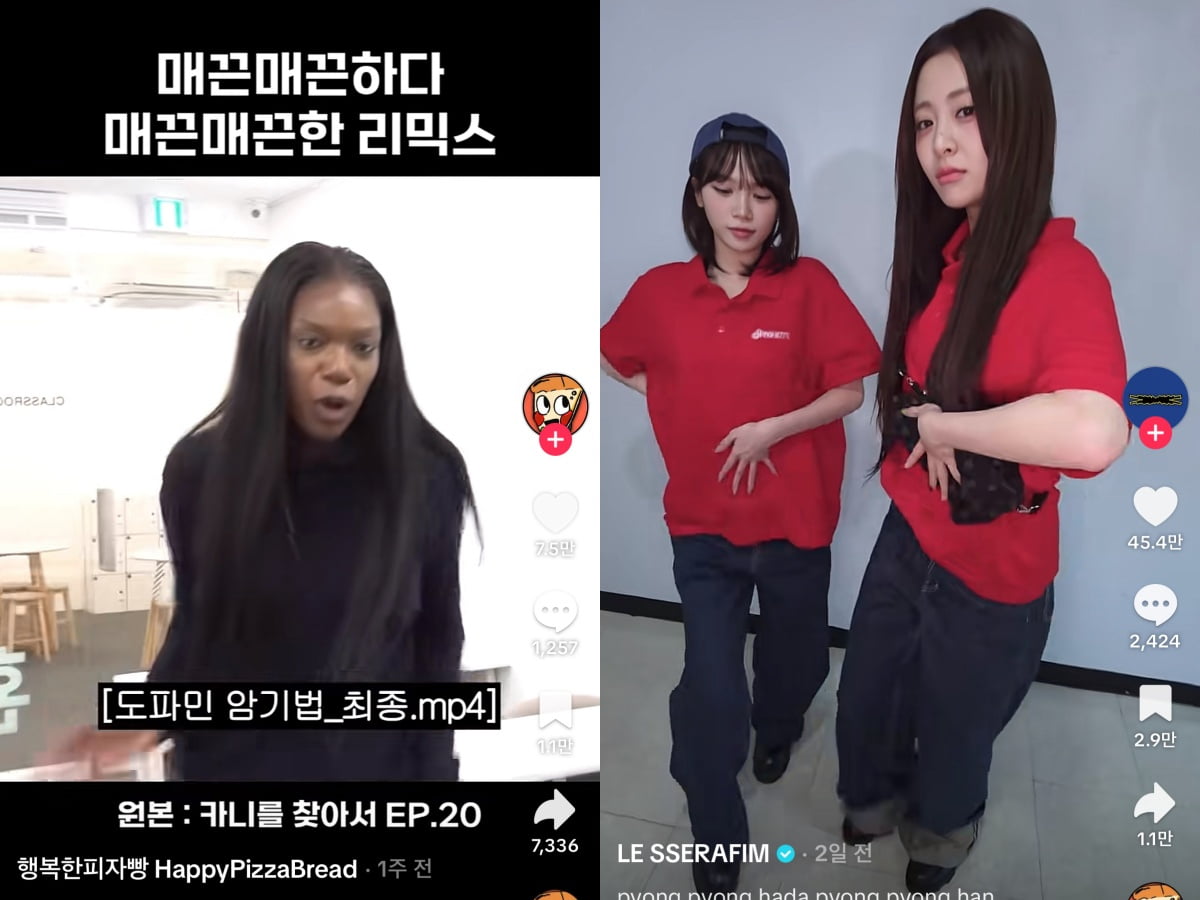 사진=행복한 피자빵 틱톡, 르세라핌 틱톡 캡처