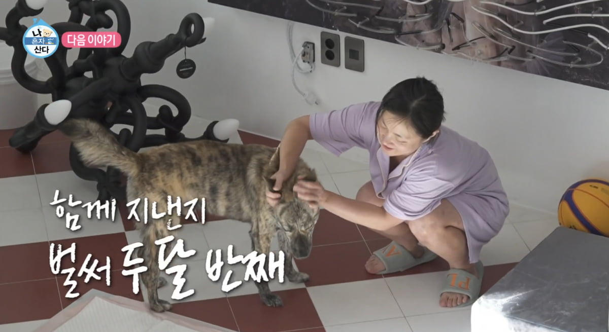 [종합] 박나래, 알고보니 동거 중이었다…"같이 산 지 2달 반 정도 돼" ('나혼산')