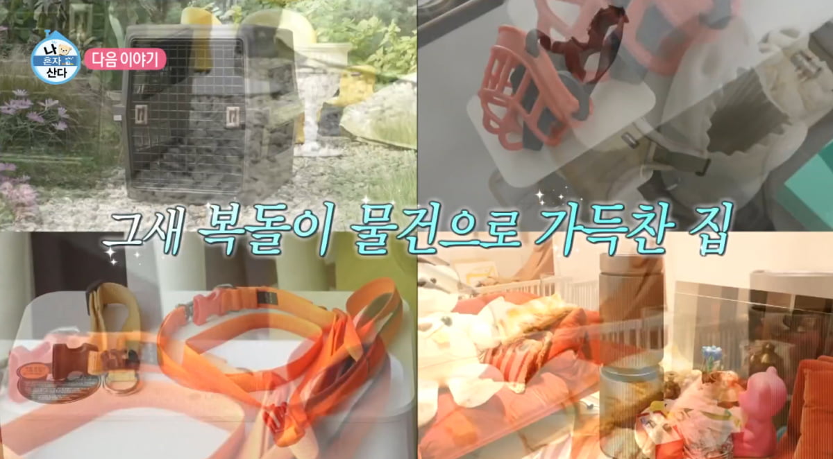 [종합] 박나래, 알고보니 동거 중이었다…"같이 산 지 2달 반 정도 돼" ('나혼산')