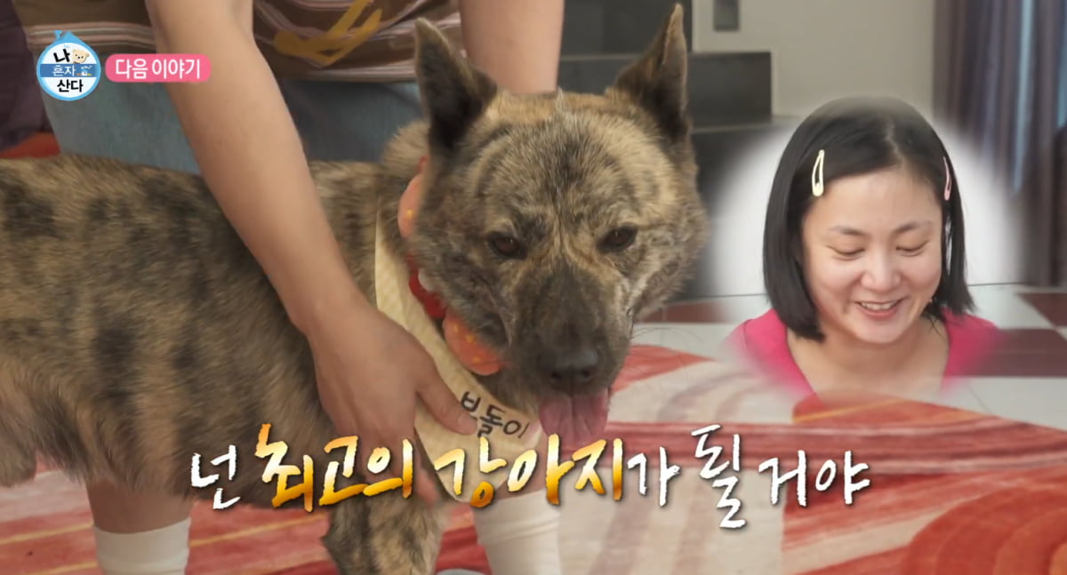 [종합] 박나래, 알고보니 동거 중이었다…"같이 산 지 2달 반 정도 돼" ('나혼산')