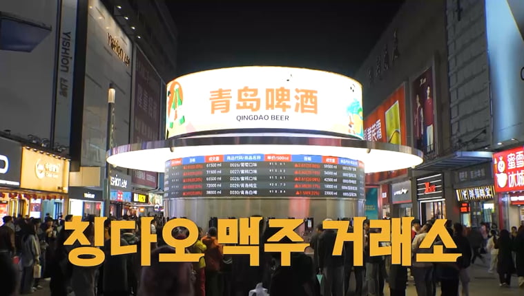 프러포즈에 100억 태웠다…김대희 "야경쇼 너무 멋져서"('독박투어4')