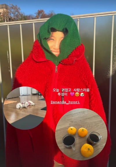 이효리, 호랑이 선생님 소문났는데…추울까 입히고 두르자 "귀여워" 유발