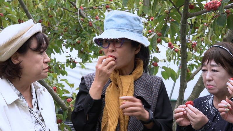 홍진희, 故 전유성 비보 두 달 만에 특별한 인연 밝혔다…"한결같아"('같이삽시다')