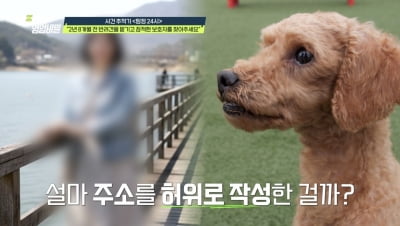 반려견 맡기더니 3년 잠적…"연락 피하면서 SNS 프로필은 바꿔" ('탐비')