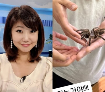 강수정 "벌레랑 같이 밥 먹어" 호소했는데…털 달린 거미에 "뭐 하는 거야'