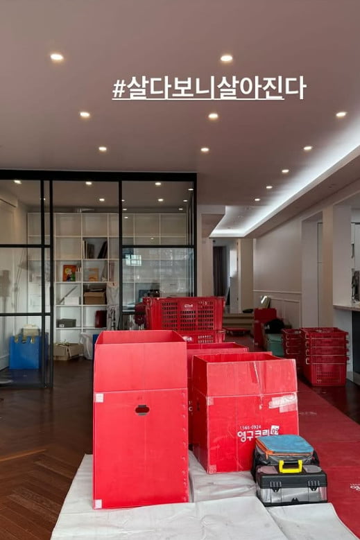 사진=안선영 SNS