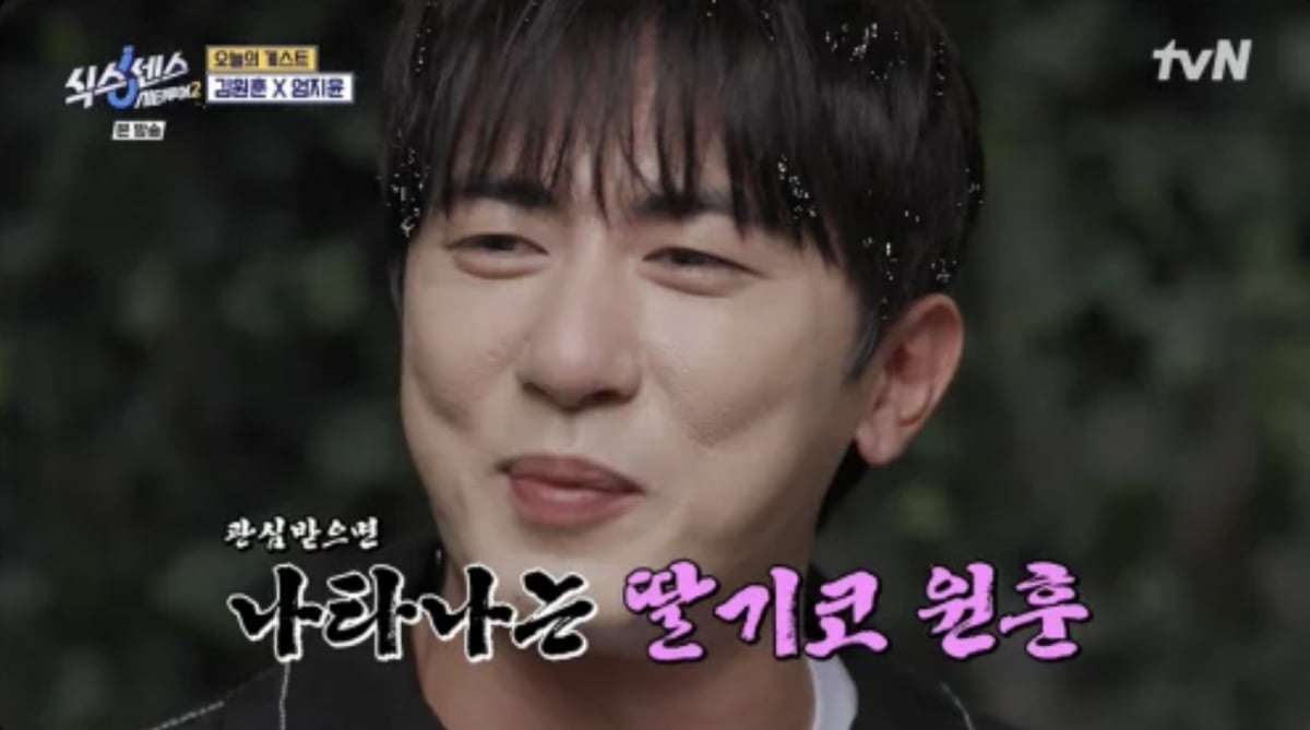 사진=tvN '식스센스: 시티투어2'