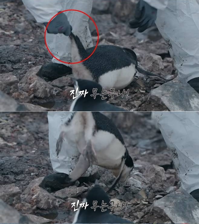 사진=MBC '남극의 셰프' 예고편 캡처