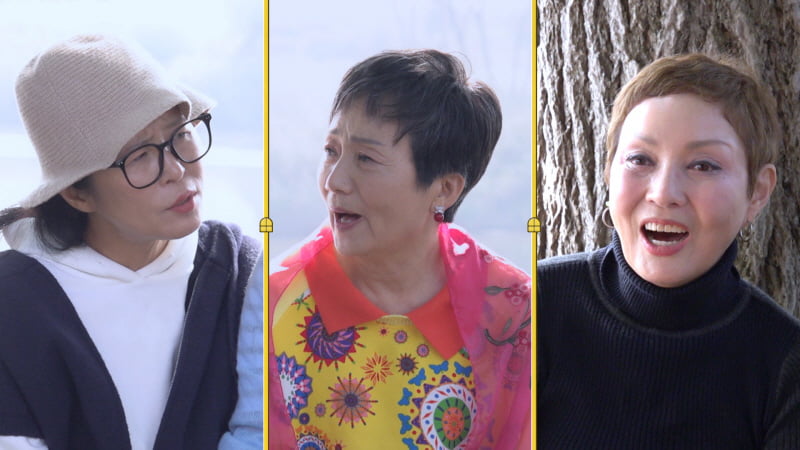 70세 女배우, 전남편 사업 실패로 압구정 70평 아파트서 쫓겨났다…"채권자 들이닥쳐"('같이삽시다')