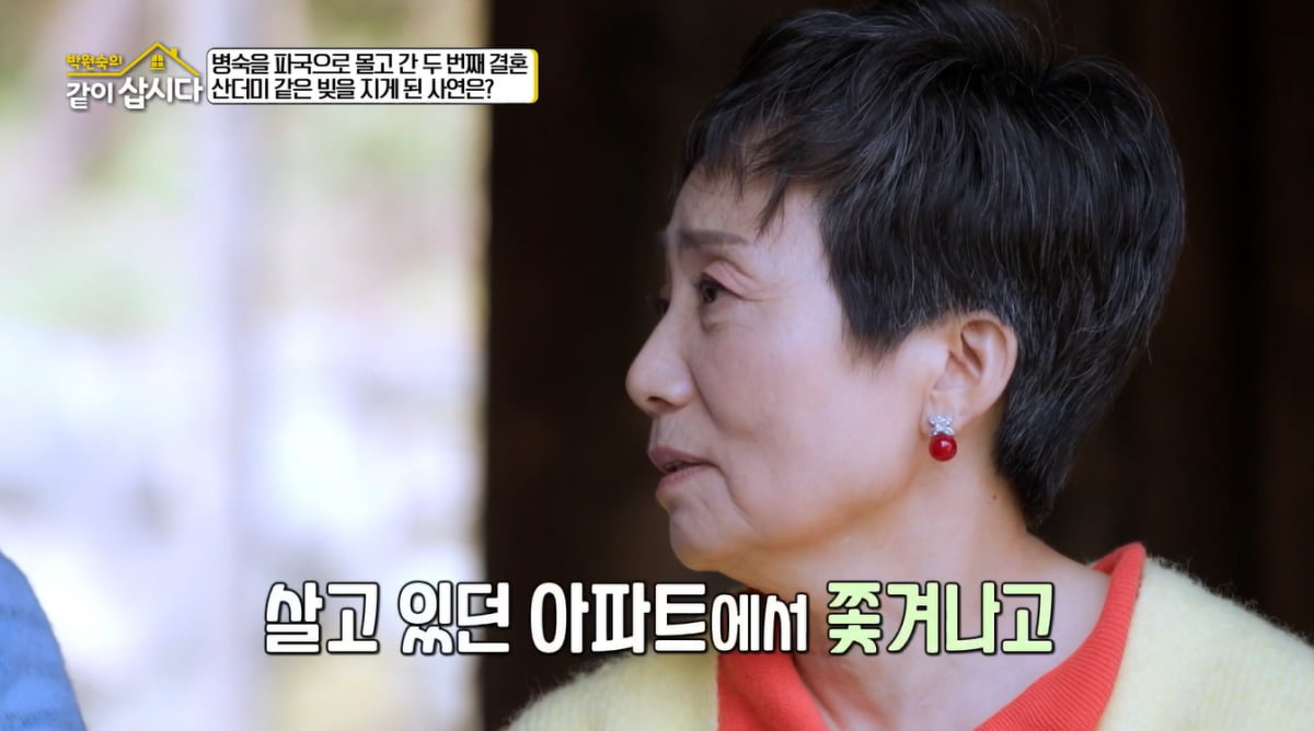 '이혼 2번' 성병숙, 100억 빚 떠안았다…"압구정 70평 아파트서 쫓겨나"('같이삽시다') [종합]