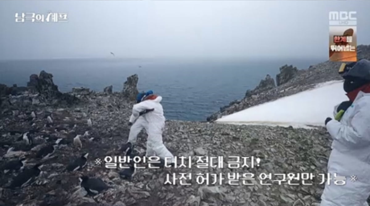 사진=MBC '기후환경 프로젝트 - 남극의 셰프' 