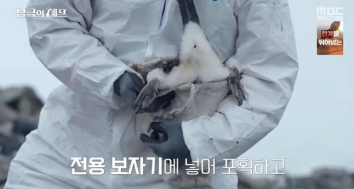 사진=MBC '기후환경 프로젝트 - 남극의 셰프' 