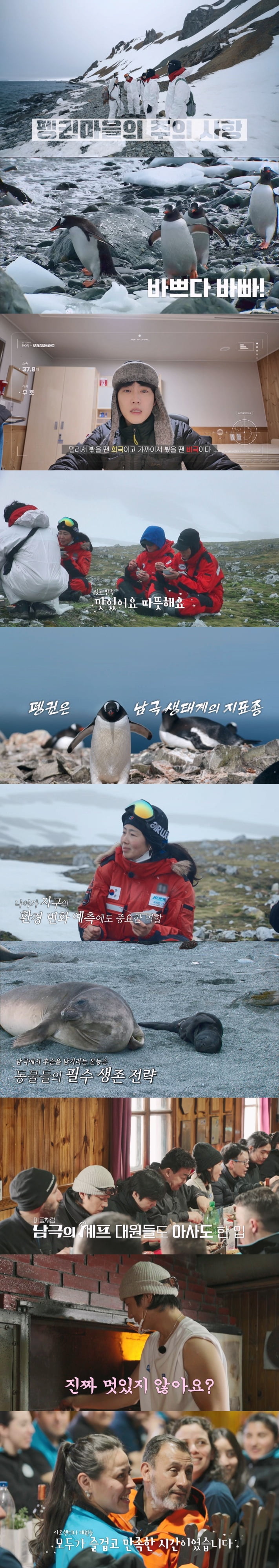 / 사진제공 = ‘남극의 셰프’