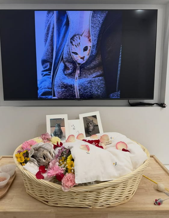 사진=강지영 SNS