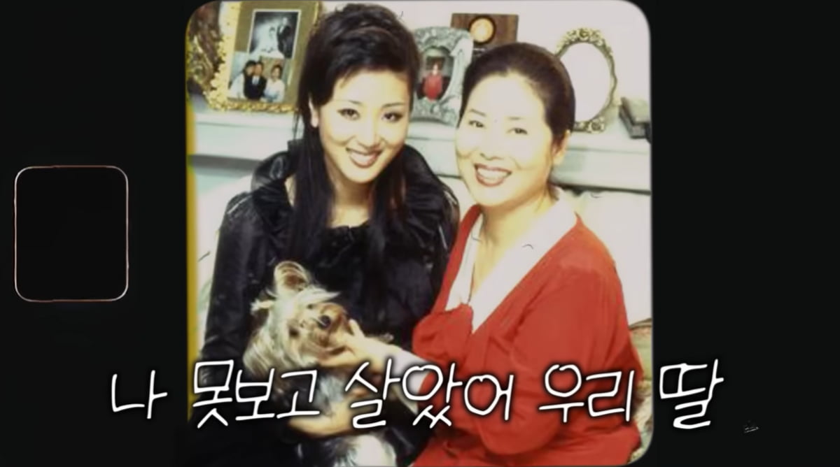 [종합] 선우용여, 200억 땅 때문에 15년간 재판했다…"딸 수입=빌딩 2채 값, 다 들어가"('순풍')