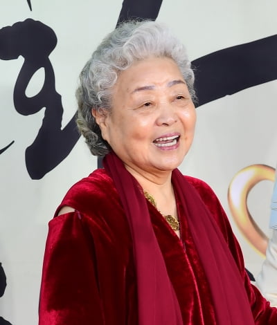 84세 강부자, 의외의 취미 있었네…"손흥민과 같은 비행기 타"('배달왔수다')