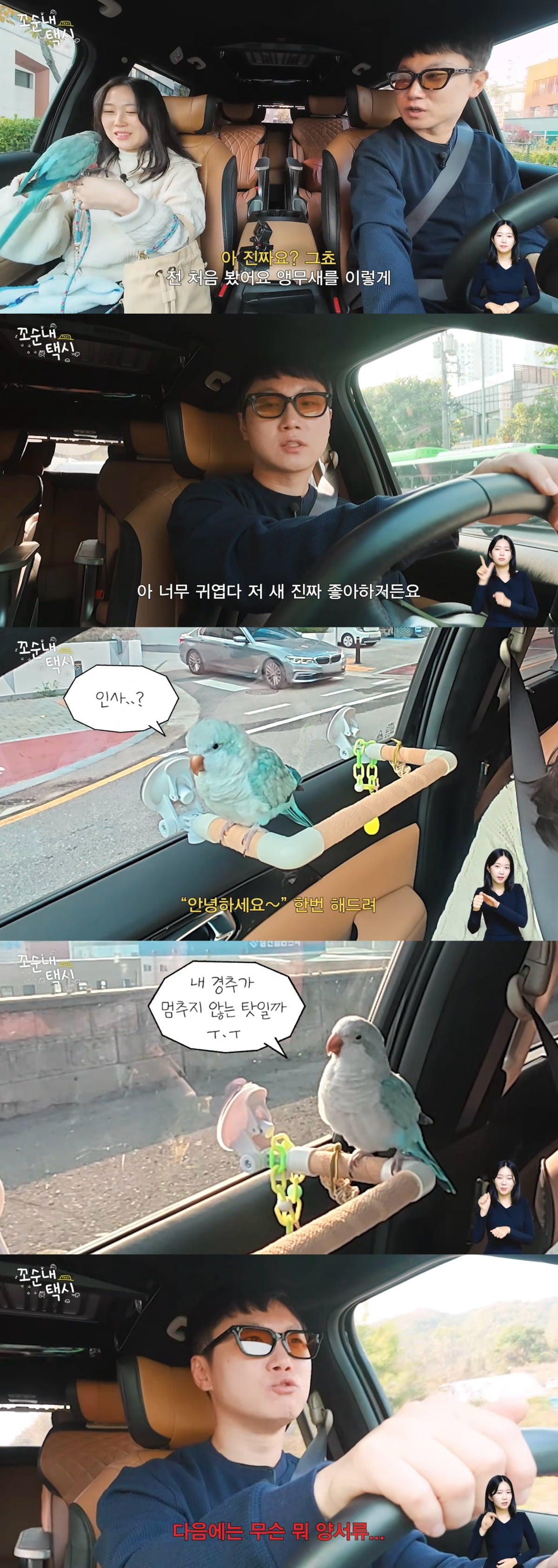 [사진 제공 = 유튜브 ‘꼬순내택시’ 6화 영상 캡처]
