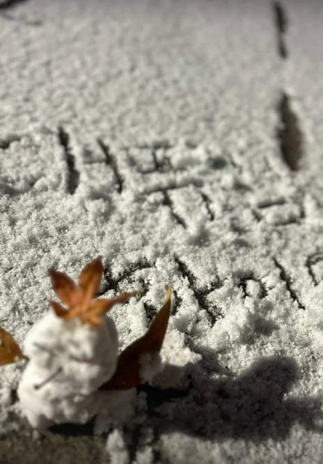 사진=민 전 대표 SNS