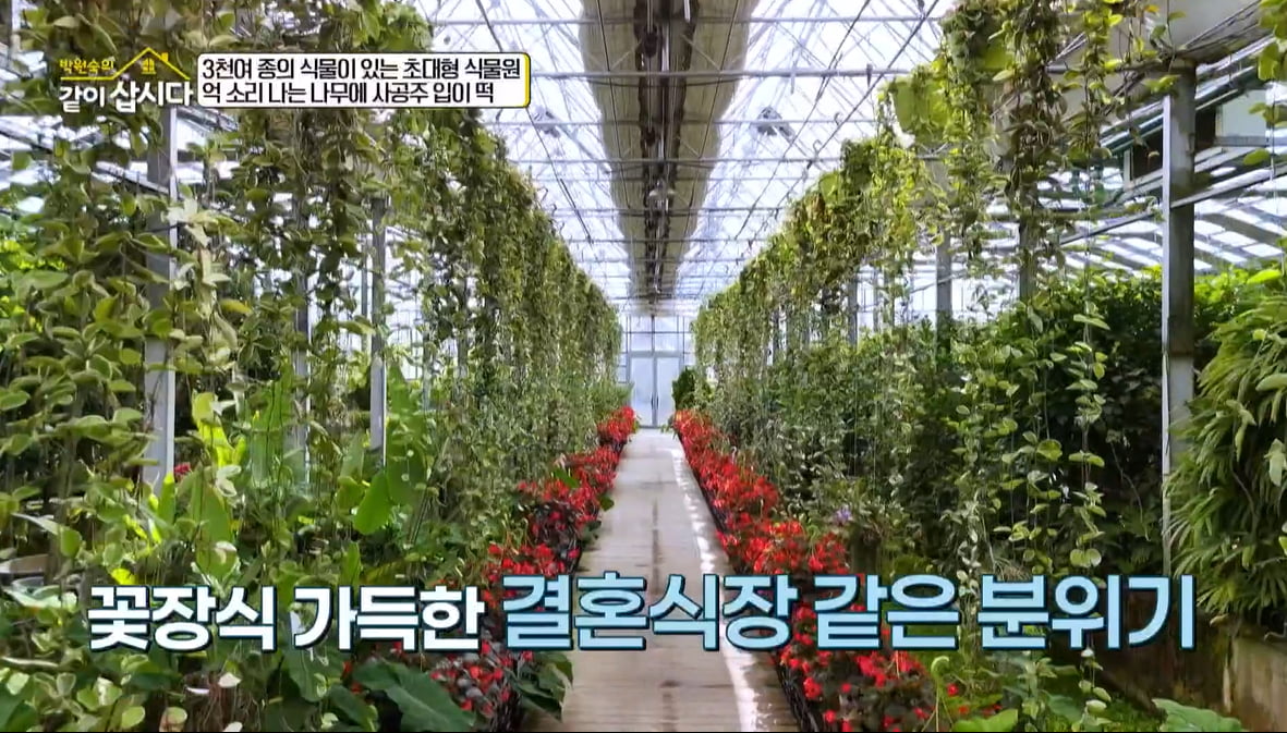 [종합] 황석정, 두 번째 결혼식도 파혼으로 끝났다…"그만 헤어져"('같이 삽시다')