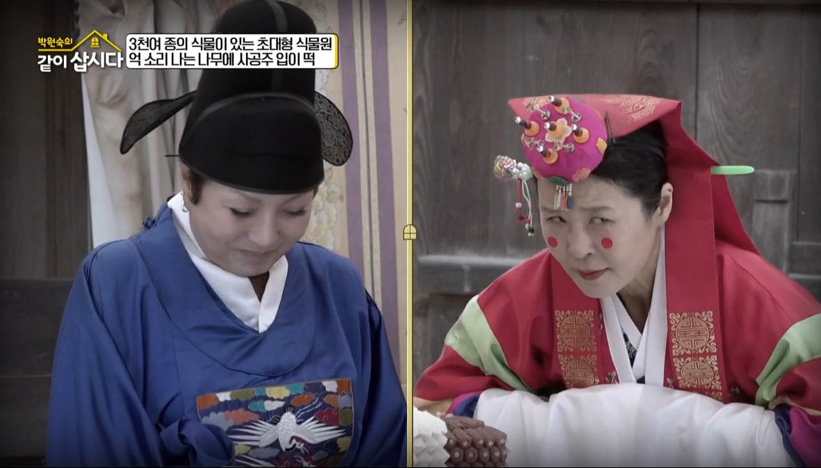 [종합] 황석정, 두 번째 결혼식도 파혼으로 끝났다…"그만 헤어져"('같이 삽시다')